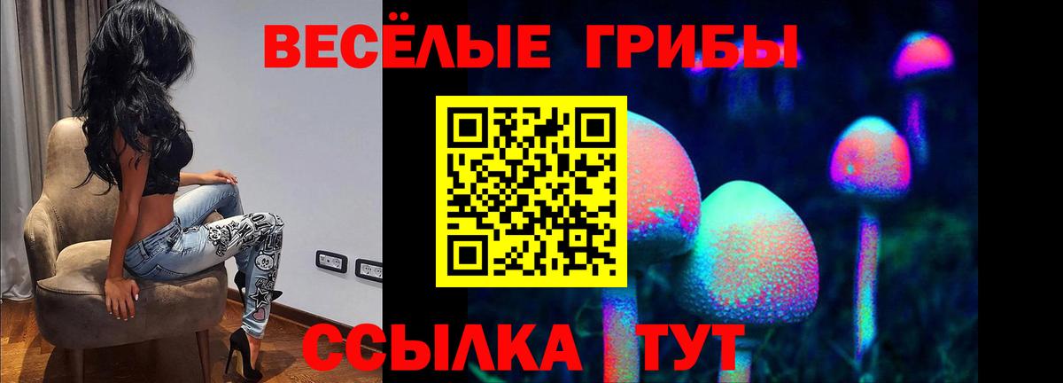 Псилоцибиновые грибы Psilocybe  Вход с VPN  Псилоцибиновые грибы прущие грибы  Выкса 